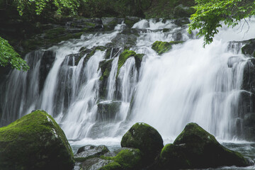 自然と滝