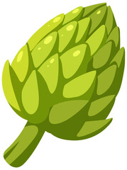 Artichoke isolated on white background