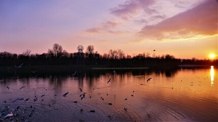 Naklejka premium Beautiful purple sunset on the lake