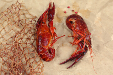 boiled craw fish on kitchen board with net and lemon slices closeup photo