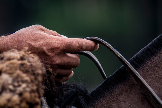 Mano de un gaucho cabalgando un caballo