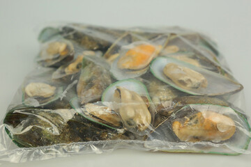 green mussel clam in shell closeup photo