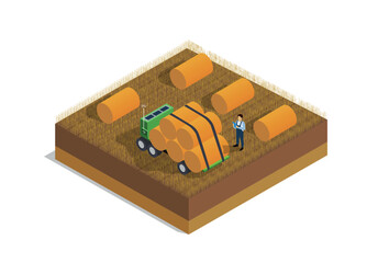 Farm field with truck. Man collects stacks of wheat and takes them away by transport, work in field. Village and countryside. Poster or banner for website. Cartoon isometric vector illustration