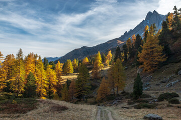 Paysage de la vallée de la Clarée à l' automne , Hautes-Alpes , France