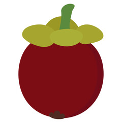 mangosteen tropical fruit illustration