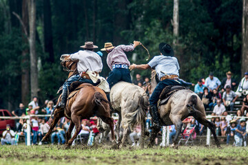 Gauchos montando caballos, jineteadas
