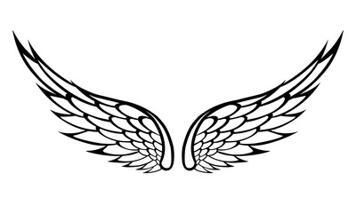 Vector angel wings line art design isolated