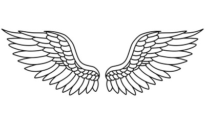 Vector angel wings line art design isolated