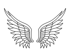 Vector angel wings line art design isolated