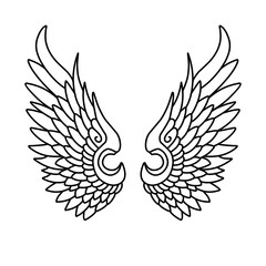 Vector angel wings line art design isolated