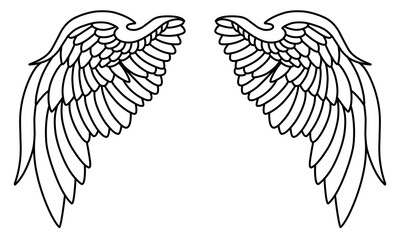 Vector angel wings line art design isolated