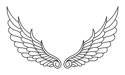 Vector angel wings line art design isolated