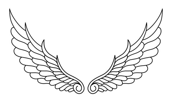 Vector Angel Wings Line Art Design Isolated