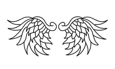 Vector angel wings line art design isolated