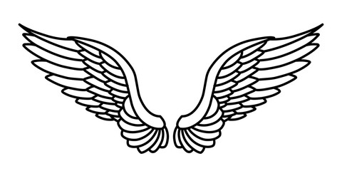 Vector angel wings line art design isolated