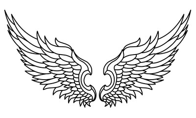 Vector angel wings line art design isolated