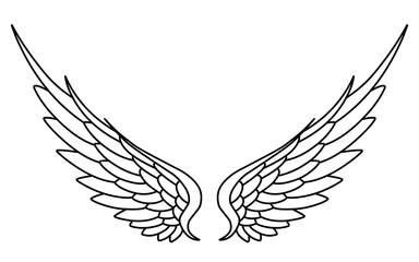 Vector angel wings line art design isolated