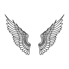 Vector angel wings line art design isolated