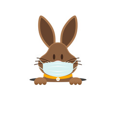 Osterhase Mit Maske Im Loch Weiß