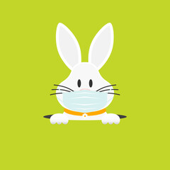 Weißer Osterhase Mit Maske Im Loch Grün