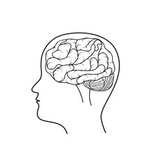 human brain, black outline, isolated vector illustration in doodle style