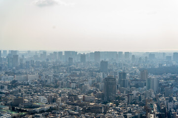 Obraz premium Cloudy tokyo skyline