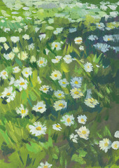 Chamomile meadow gouache painting. Summer white flowers close-up in a meadow. Original author's painting, illustration for notebooks, sketchbooks, albums for creativity. Vertical artistic composition