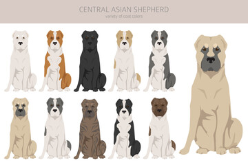 Central asian shepherd clipart. Different poses, coat colors set