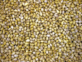 Closeup of a large quantity of pistachios.