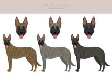 Dutch shepherd clipart. Different poses, coat colors set