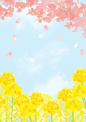 桜　青空　優しい春の背景イラスト
