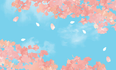 Fototapeta na wymiar 桜　青空　優しい春の背景イラスト