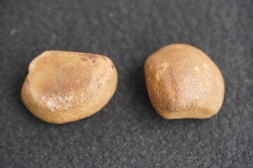 
Antiroba seed (Carapa guianensis) of the Meliaceae family. Amazonas, Brazil.
