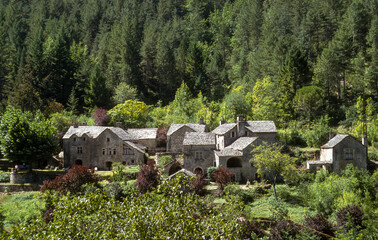 Fototapeta na wymiar Village, Hauterives, Parc naturel régional des Grands Causses, Gorges du Tarn, 48; Lozere, France