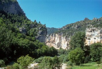 Fototapeta na wymiar Parc naturel régional des Grands Causses, Gorges du Tarn, 48; Lozere, France