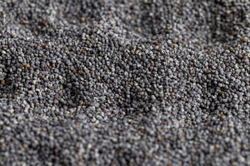 Poppy seeds on the table close up
