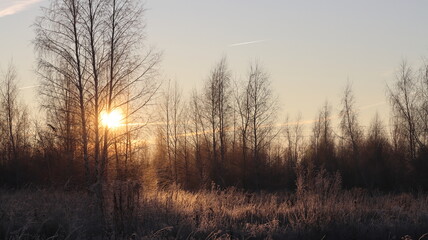 Fototapeta na wymiar Sunrise over the edge of the forest