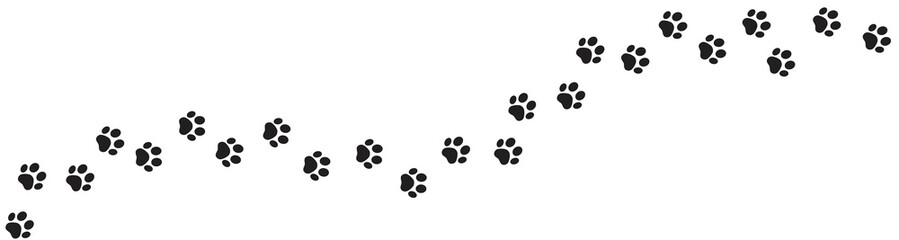 Paw print of dog isolated on transparent background. cat paw print. cat walk foot print. Paw print of dog PNG © Graficriver