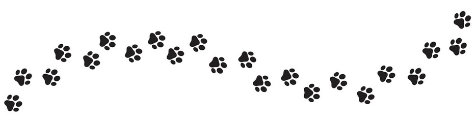 Paw print of dog isolated on transparent background. cat paw print. cat walk foot print. Paw print of dog PNG - obrazy, fototapety, plakaty