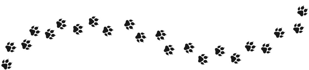 Fototapeta na wymiar Paw print of dog isolated on transparent background. cat paw print. cat walk foot print. Paw print of dog PNG