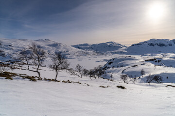 Haukelifjell is a mountain area and a mountain pass in South Norway., Scandinavia