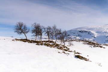Haukelifjell is a mountain area and a mountain pass in South Norway., Scandinavia