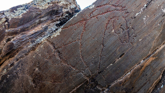Rock carvings, Paleolithic Art, Siega Verde, UNESCO World Heritage Site, Serranillo, Villar de la Yegua, Castile and Leon, Spain, Europe