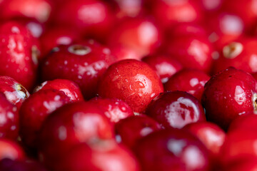 fresh ripe cranberries with drops of pure water
