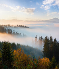 The air. Morning sunrise fog colorful clouds on the slopes of the Carpathian Mountains (Ukraine).