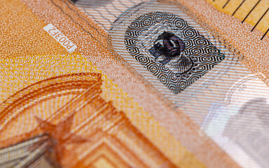 European cash banknotes with a face value of 50 euros in