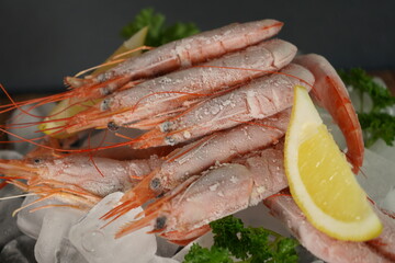 Frozen red tiger prawns on ice cubes with lemon bites composition, close up