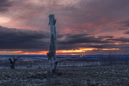 Abendrot im Tagebaugebiet mit einem abgestorbenen Baum im Vordergrund, sowie Schaufelradbagger im Hintergrund