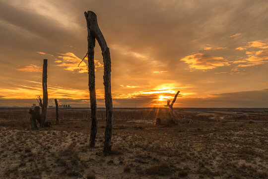 Sonnenuntergang mit Sonnenstern im Tagebaugebiet im Vordergrund abgestorbene B&auml;ume