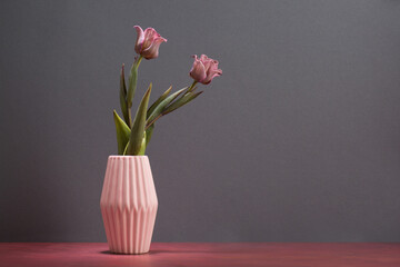 Fresh colorful tulips flowers in vase on grey wall Place for your text
